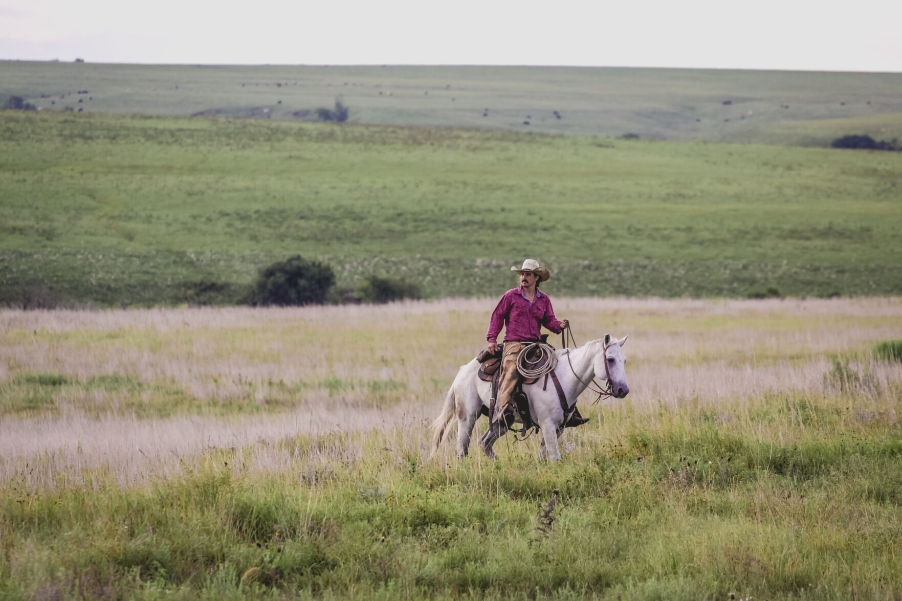 Wiggins Roundup R